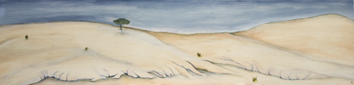 Shifting Sands